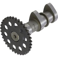 Image of 2249-1IN - Hot Cams Camshaft Intake Stage 1 For Arctic Cat Textron 400 2X4 2007-2008