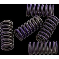 CS341-5-0311 - CS341-5-0311 - Hinson Clutch Spring Kit - Yamaha YZF250 2003-13, YZ125 2005-19, WRF250 2001-13