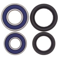 All Balls Wheel Bearing Kit - Front - Honda TRX250X/450X ATV 2001-17, TRX450R/ER ATV 2004-14