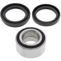 All Balls Wheel Bearing Kit - Front & Rear - Arctic Cat 300 4x4 & 300 2x4 1998-2004
