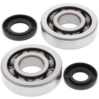 All Balls Crank Bearing & Seal Kit - Kawasaki KX250 2002-07