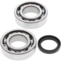 All Balls Crank Bearing & Seal Kit - Kawasaki KXF250 2004-21, Suzuki RMZ250 2004-06
