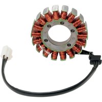 21-227 - 21-227 - Ricks Stator - Kawasaki ER-6N 650 2009-11, Kawasaki KLE650 Versys 2008-14