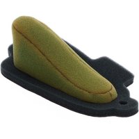 Twin Air Pre-Oiled Air Filter - Beta Evo 2T 125/200/250/290/300 2009-2024, Evo 4T 2009-2024