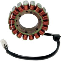 21-019 - 21-019 - Ricks Stator - Ducati 1098 2007-08, 749 2003-07