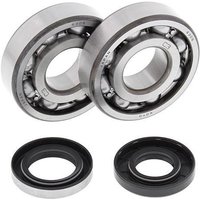 All Balls Crank Bearing & Seal Kit - Husqvarna CR250 1993-98, WR250 1998, WR360 1998-2002
