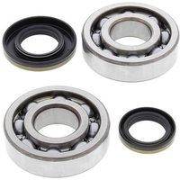 All Balls Crank Bearing & Seal Kit - Suzuki RM250 2003-04