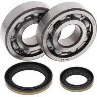 All Balls Crank Bearing & Seal Kit - Suzuki RM250 1996-2002