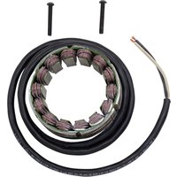 21-031 - 21-031 - Ricks Stator - Ducati 916 Biposto 1995-98