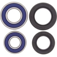 All Balls Wheel Bearing Kit - Front - Arctic Cat 400 DVX 2004-2008