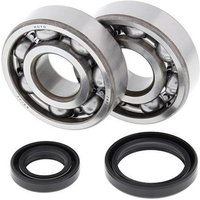 All Balls Crank Bearing & Seal Kit - Suzuki RM125 1989-2008