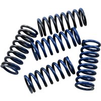 Image of CS215-5-001 - Hinson Clutch Spring Kit - Honda XR400R 1996-2004