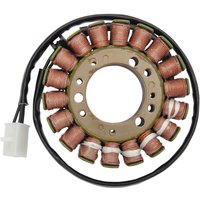 21-005 - 21-005 - Ricks Stator - Triumph Sprint 966 RS 2002-04, Tiger 955 I 2001-06