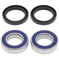 Image of All Balls Wheel Bearing Kit - Rear - Beta 250/300 RR 2013-18, 250-520 RR 2011-18