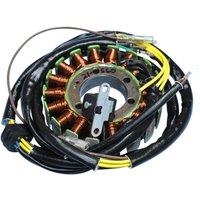 21-560 - 21-560 - Ricks Stator - Polaris Scrambler 500 4x4 2004-11