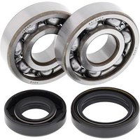 All Balls Crank Bearing And Seal Kit - Kawasaki KX125 1988-2008