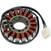 21-120 - 21-120 - Ricks Stator - Honda VFR800 2002-09