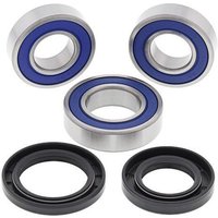 All Balls Wheel Bearing Kit - Rear - Gas Gas EC 125-300 2003-20, EC250-450F 2010-15