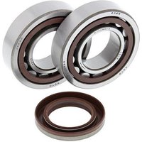 All Balls Crank Bearing & Seal Kit - KTM EXC400 2000-06, EXC450/525 2003-07, SX450/525 2003-06