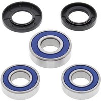 All Balls Wheel Bearing Kit - Rear - Gas Gas EC 125-300 1999-2002