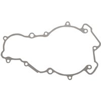 25-002 - 25-002 - Ricks Stator Gasket - KTM Adventure 950/990 2003-13