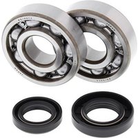 All Balls Crank Bearing & Seal Kit - Honda CR80 1985-2002, CR85 2003-07