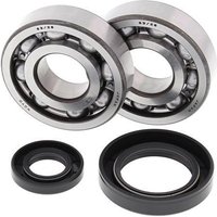 All Balls Crank Bearing And Seal Kit - Honda CR250 1992-2007