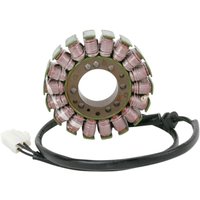 21-011 - 21-011 - Ricks Stator - Triumph Daytona 955 I 2002-06