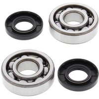 Image of All Balls Crank Bearing And Seal Kit - KX 60/65 1983-2022, KX 80/85/100 1981-2022, RM 60/65 2003-05