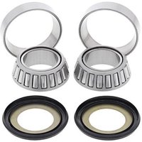 All Balls Steering Bearing Kit - Honda CRF250L 2013-20, CRF300L 2021-22