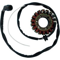 21-216 - 21-216 - Ricks Stator - Kawasaki ZX-12 R Ninja 2002-03