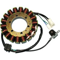 21-814 - 21-814 - Ricks Stator - Suzuki LT-A 750 AXI 4X4 Kingquad 2008-17