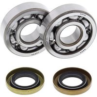 All Balls Crank Bearing & Seal Kit - KTM SX 60/65 1998-2008, Husqvarna CR65 2012