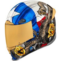 0101-16023 - Icon Airframe Pro Tejas Libre Helmet 3X-Large - Glory