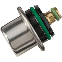 100-3091-PU - Moose Racing Fuel Pressure Regulator For Polaris Ranger 500 2X4 2006-2009