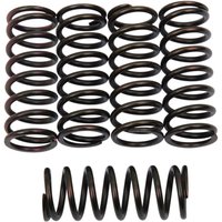 501-55-05066 - Barnett Clutch Spring Kit For Honda CB 650 F 2014-2018 - Black