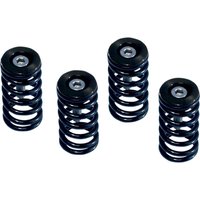 519-25-06095 - Barnett Clutch Spring Kit For Ducati 1098 2007-2008 - Black