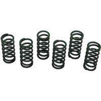 501-82-06023 - Barnett Clutch Spring Kit For Yamaha FJ 1100 1984-1985 - Black