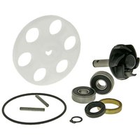 IP34590 - 101 Octane Water Pump For Benelli 491 50 LC 1998-2003