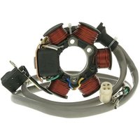 19753 - 101 Octane Alternator Stator For Gilera Easy Moving 50 AC