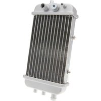 Image of 34399 - 101 Octane Radiator For Gilera RCR 50 2003-2020 - Silver