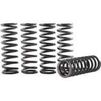 CS616-2301 - Hinson Clutch Spring Kit For Yamaha WRF450 2024-2025