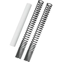 Image of B28-1100 - Burly Fork Spring Kit For Honda CMX 1100 Rebel 2021-2024