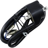 01-1121 - Parts Unlimited External Coil For Arctic Cat CHEETAH 529 1987-1988 - Black