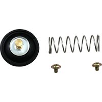 Image of 46-4041 - Parts Unlimited Air Cut Off Valve Rebuild Kit For Kawasaki VN 800 1995-2005 - Black/Silver