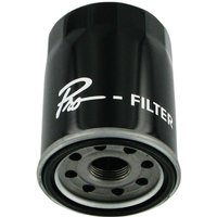 Image of 2540086 - Parts Unlimited Oil Filter For Victory Boardwalk 106 2013-2014 - Black