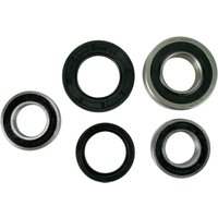 PWRWS-S05-000 - Pivot Works Wheel Bearing & Seal Kit For Suzuki GSF 1250S 2007-2009 Rear