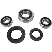 PWRWS-S14-000 - Pivot Works Wheel Bearing & Seal Kit For Suzuki DL 1000 2002-2007 Rear