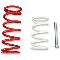 Image of WE397440 - EPI Economy Clutch Kit For Can Am Renegade 800 EFI HO 4X4 2007-2008