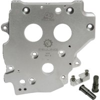 Image of 8031 - Feuling Parts OE+ Cam Plate For Harley Davidson FLHR 1450 1999-2003 Chain